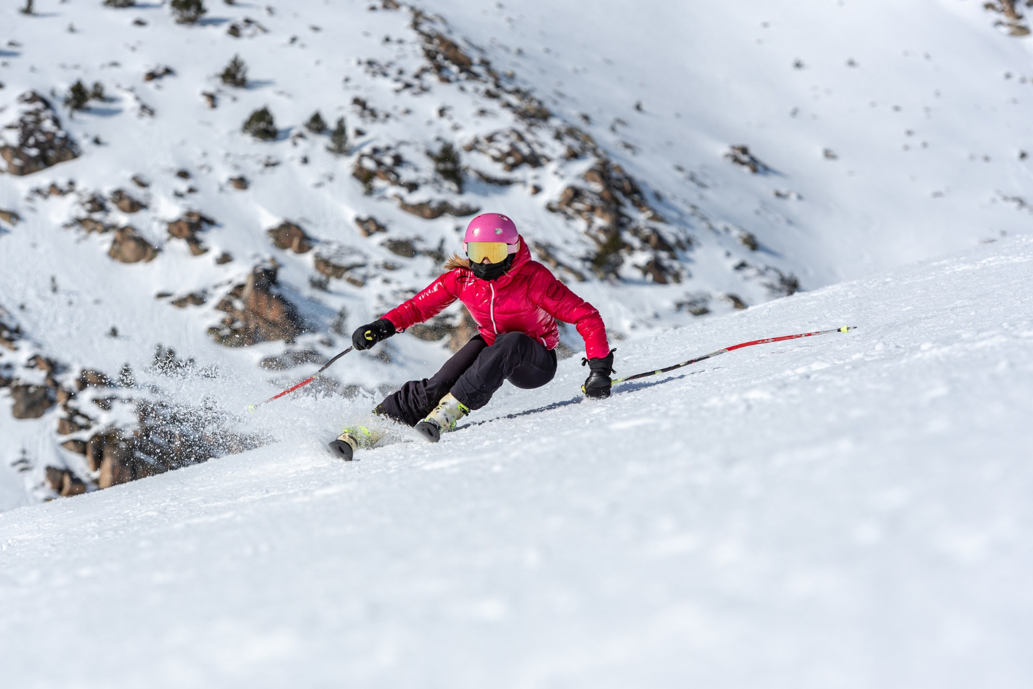 ski